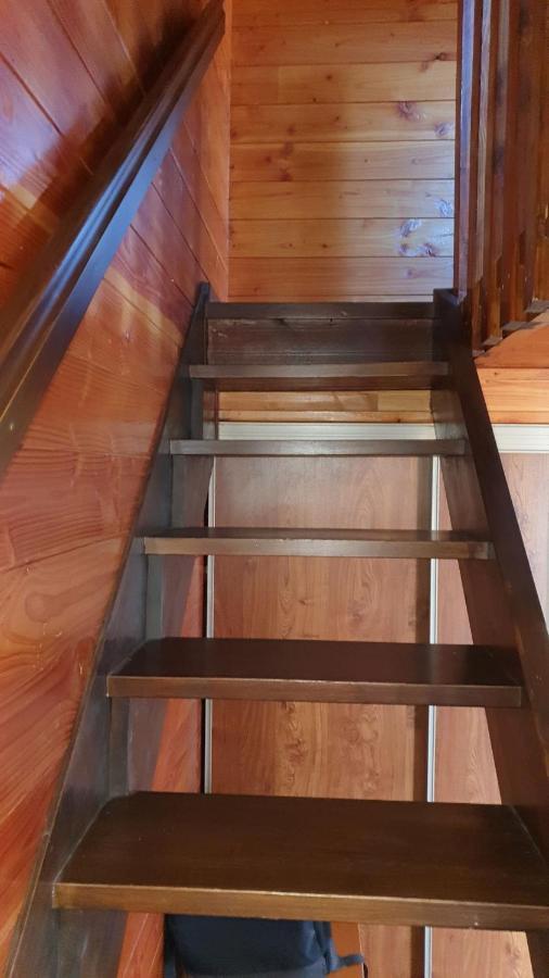 Chalet Individuel Les Sorbiers - 80M2 - Jardin - Barbecue - Wifi - Netflix - Ski & Randonnee - Pyrenees Catalanes Francaises - إينا المظهر الخارجي الصورة