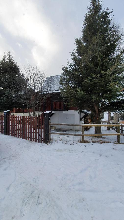 Chalet Individuel Les Sorbiers - 80M2 - Jardin - Barbecue - Wifi - Netflix - Ski & Randonnee - Pyrenees Catalanes Francaises - إينا المظهر الخارجي الصورة